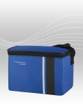Thermos Thermocafe 4 L 6 Can Insulated Cool Box Bag Cooler Party Picnic Beach